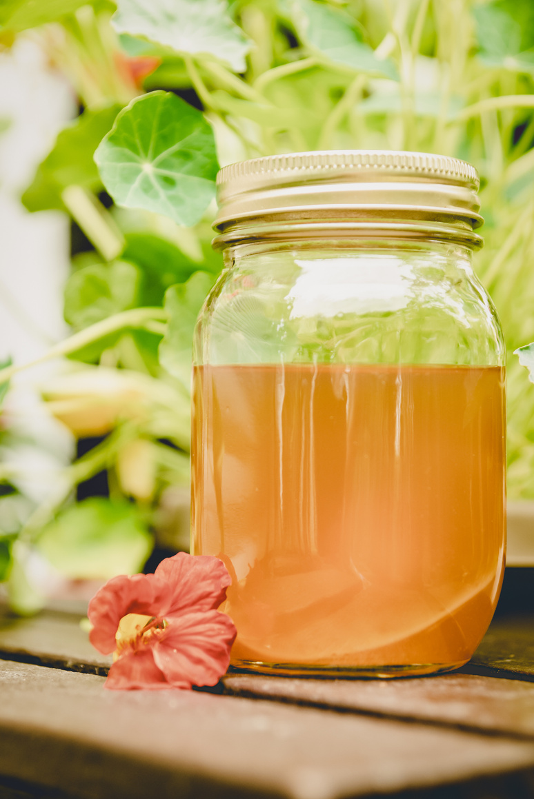Kombucha